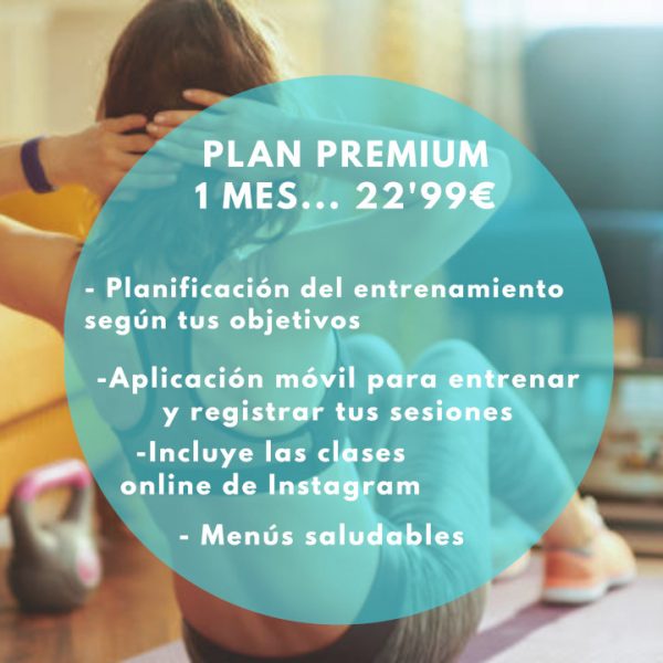 plan-premium-1